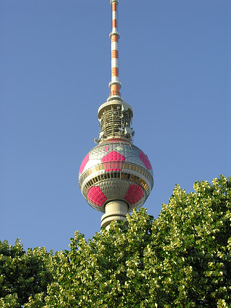Fernsehturm und Bäume Fotos