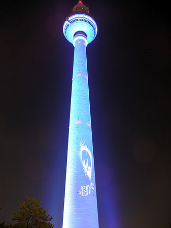 Foto Festival of Lights