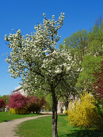 Fotos Frühling | 