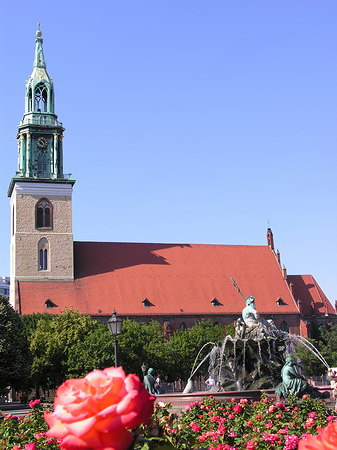 Marienkirche Fotos