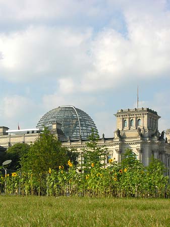 Foto Reichstag - Berlin