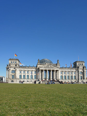 Wiese Foto 