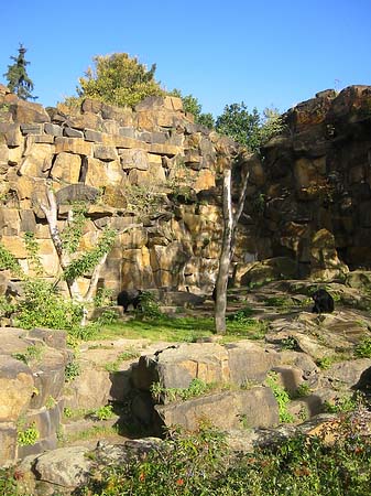 Foto Tierpark