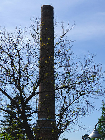 Fotos Impressionen vom Teufelsberg