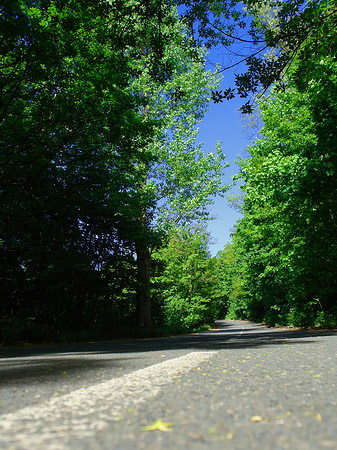 Straße auf den Teufelsberg
