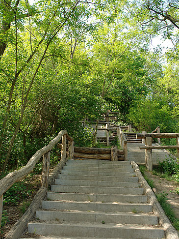 Foto Treppe auf den Drachenfliegerberg - Berlin