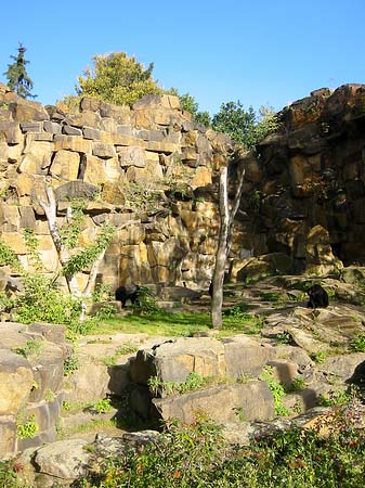Tierpark Foto 