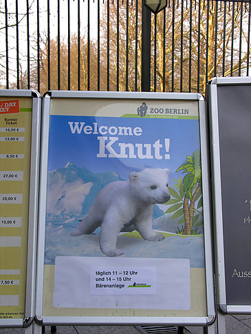 Eintritt Foto 