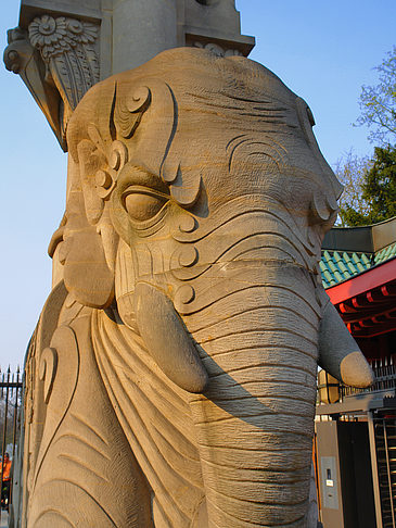 Elefantentor Foto 
