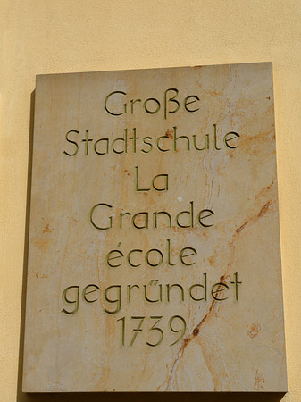 Schild