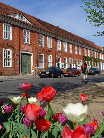 Foto Blumen