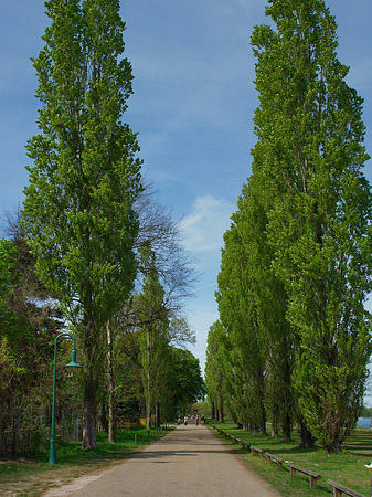 Volkspark Klein Glienicke