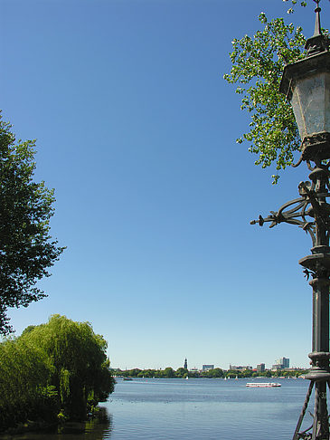 Fotos Bäume und Laterne an der Binnenalster | Hamburg