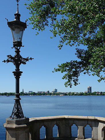 Bäume und Laterne an der Binnenalster