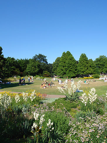 Planten un Blomen - Wiese am Parksee Fotos