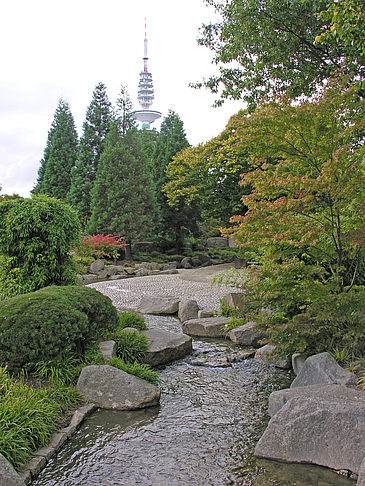 Fotos Japanischer Garten | Hamburg