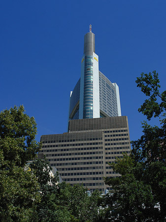 Commerzbanktower mit Baum Foto 
