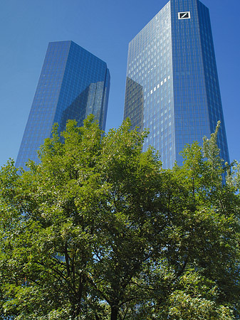 Foto Deutsche Bank mit Bäumen - Frankfurt am Main