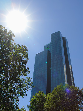 Sonne strahlt die Dresdner Bank an Foto 