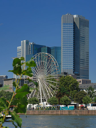 Fotos Eurotower und dresdener Bank mit riesenrad