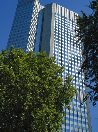 Foto Eurotower