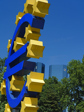 Fotos Eurozeichen mit Bäumen | Frankfurt am Main