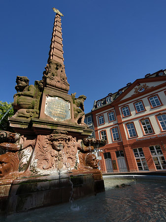 Haus zum Grimmvogel mit Liebfrauenbrunnen Foto 