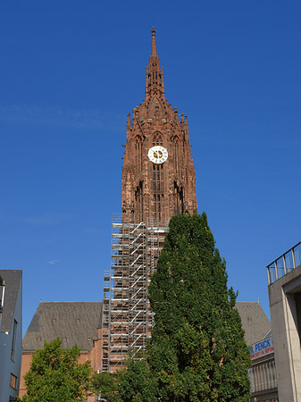 Foto Kaiserdom St. Bartholomäus mit Baum - Frankfurt am Main