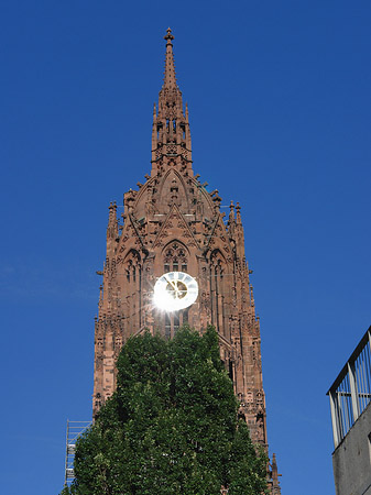 Fotos Kaiserdom St. Bartholomäus mit Baum