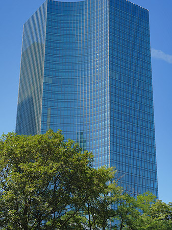 Skyper Fotos