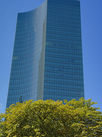 Skyper Foto 