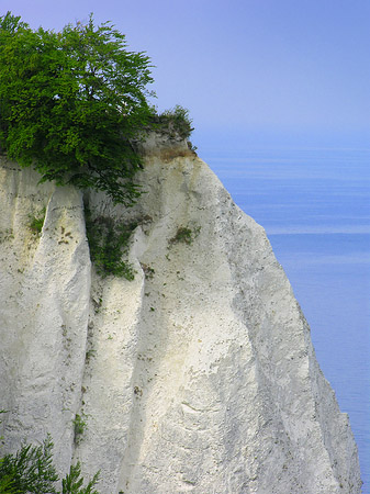 Königsstuhl Kreidefelsen