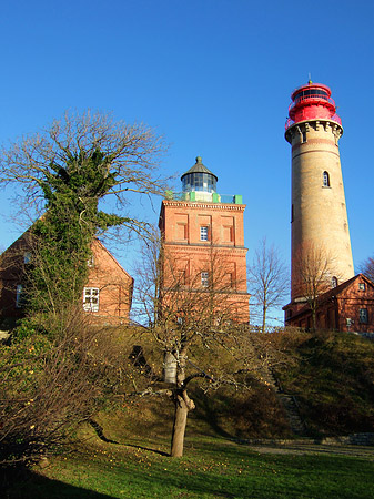 Bäume