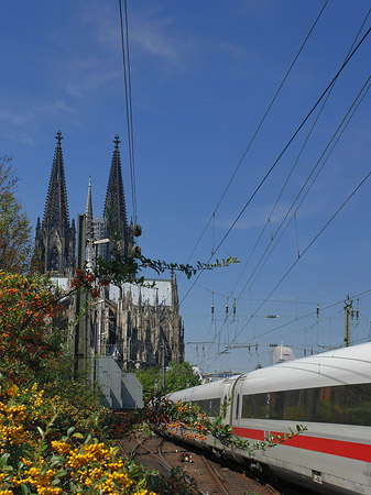 Fotos Kölner Dom mit ICE | Köln