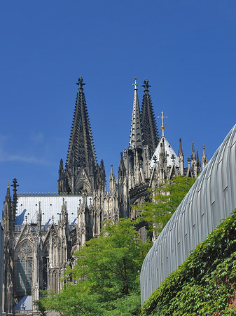 Fotos Hauptbahnhof vor dem Kölner Dom | Köln