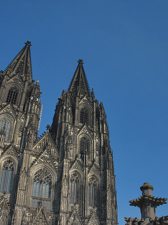 Foto Kreuzblume vor Kölner Dom