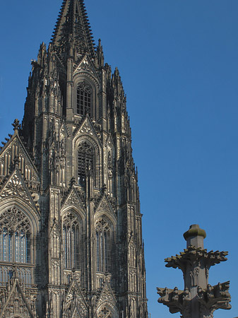 Fotos Kreuzblume vor Kölner Dom | Köln