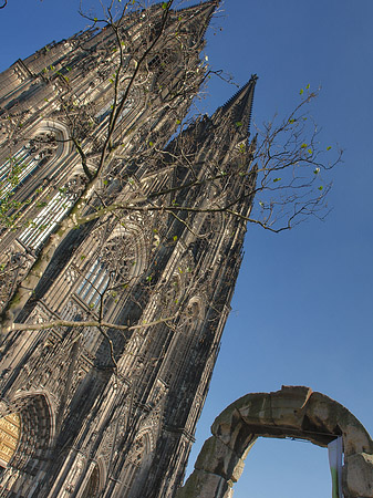 Nordtor des Kölner Doms Foto 