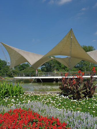 Tanzbrunnen im Rheinpark Fotos