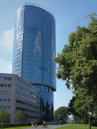 Foto Triangelturm hinter Baum - Köln