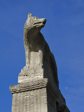 Foto Wolfsstatue am Stadtmuseum - Köln