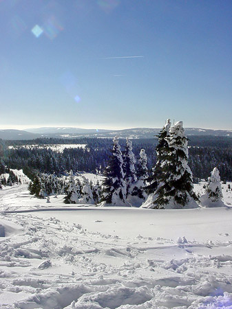 Foto Brockenwanderung