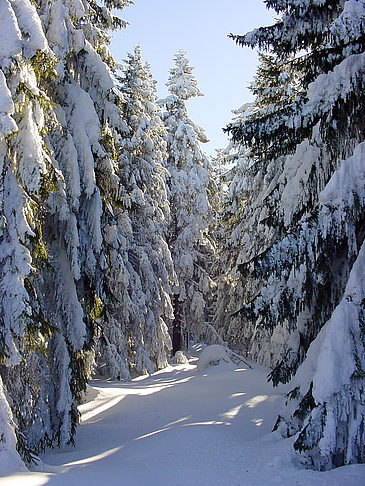 Foto Brockenwanderung - 