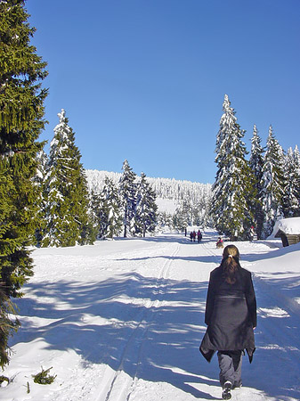 Brockenwanderung