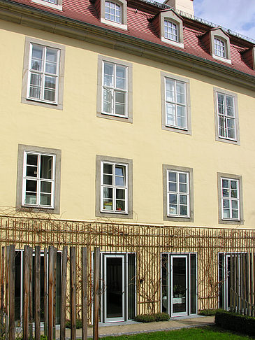 Fotos Brühlsche Gärten