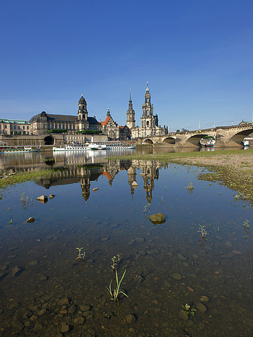 Elbe Nahaufnahme Foto 