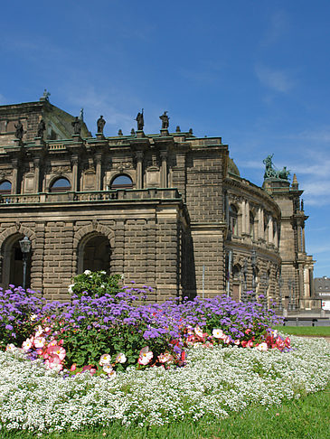 Fotos Semperoper mit Blumen | Dresden