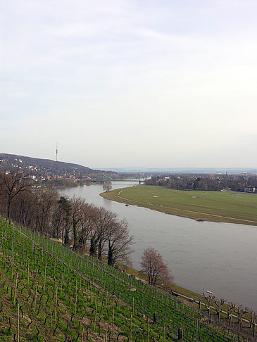 Fotos Elbe | Dresden