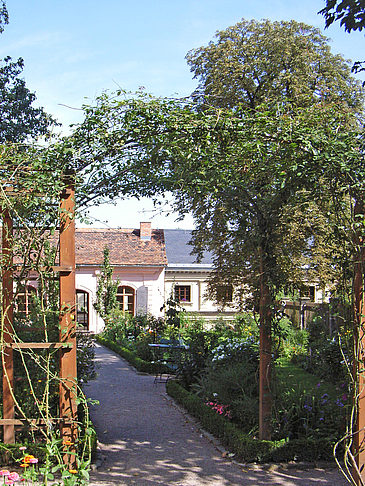Garten vom Kirms Krackow Haus Fotos