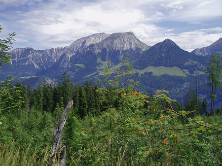 Fotos Berg